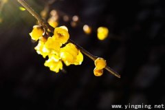 岳麓區(qū)公司建站注意的幾點